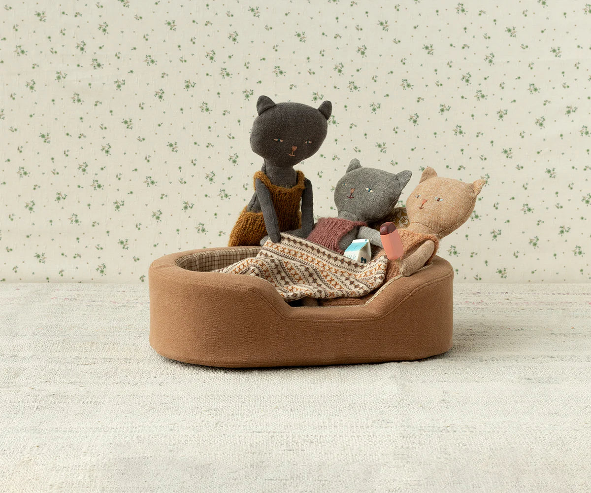 Chatons Kittens - Black