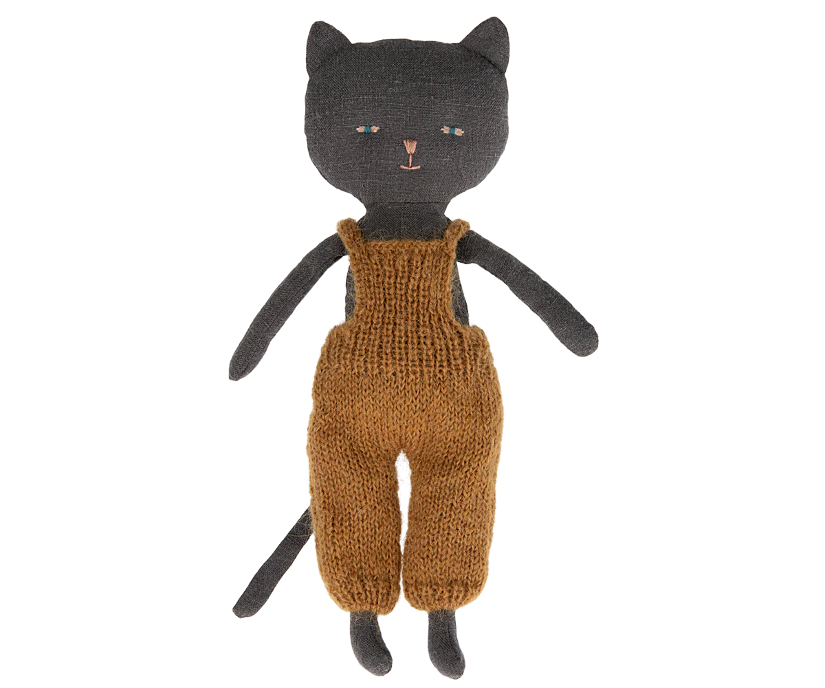 Chatons Kittens - Black
