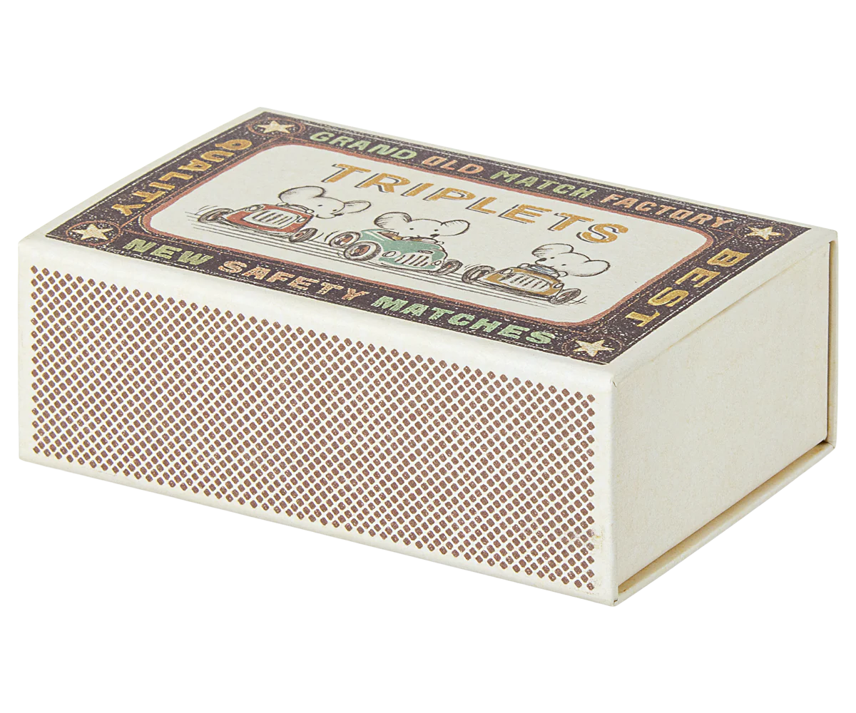 Triplets, Baby mice in matchbox
