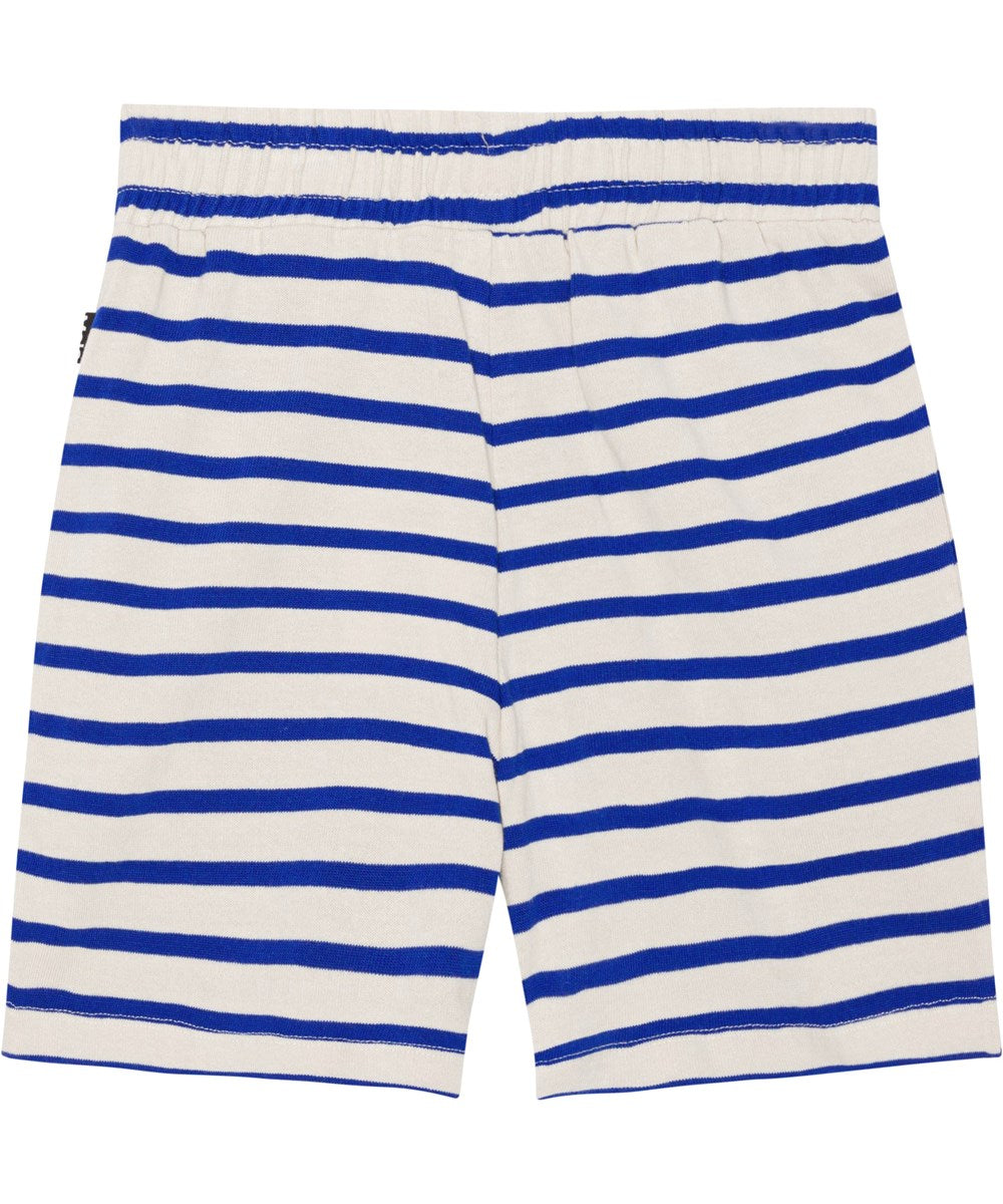 Aelius Shorts