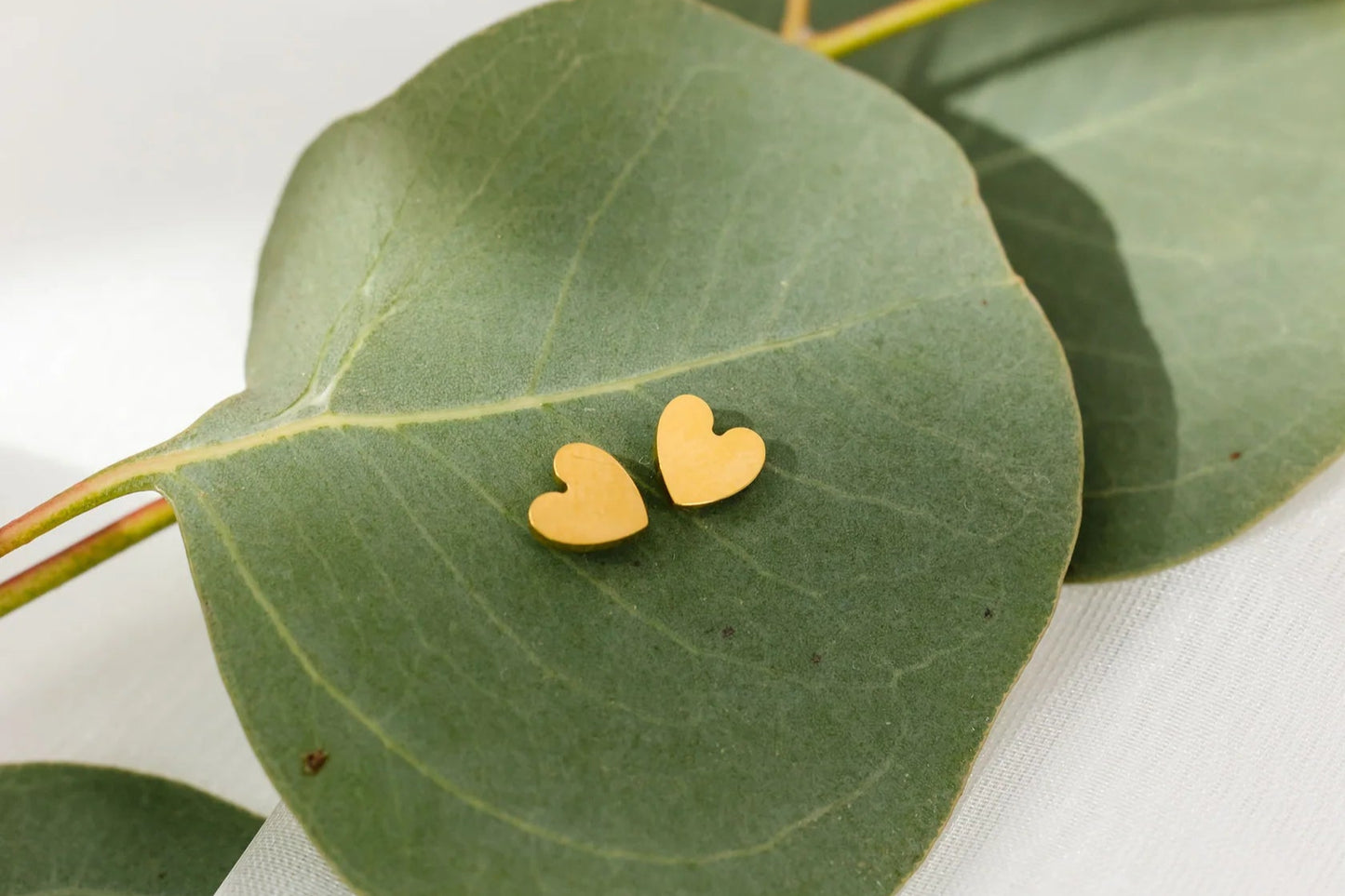 Heart Screw Back Earrings