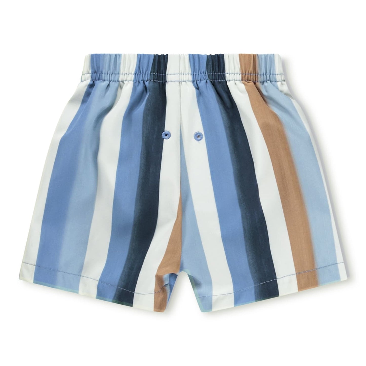Newton Swim Shorts