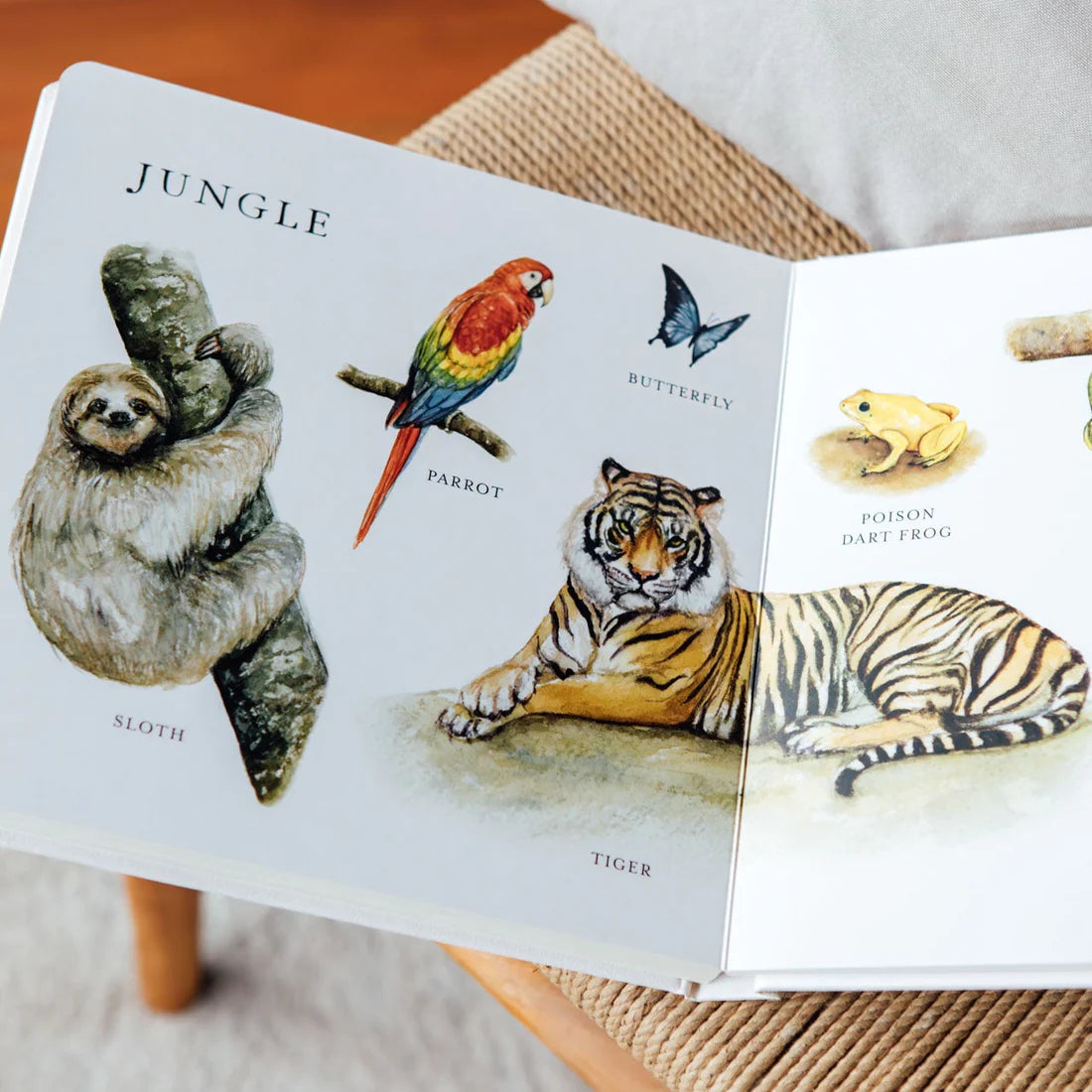 Our Big Book of Animals (Board Book)