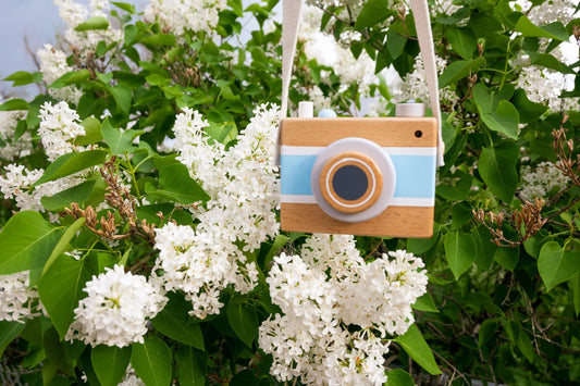 Vintage Camera Music Box - Blue