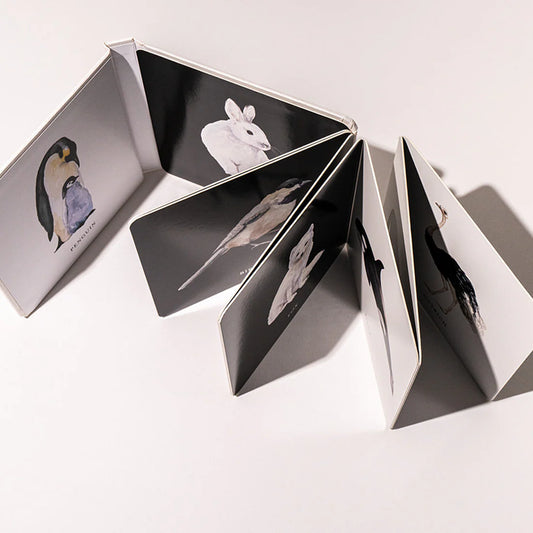 Black and White Contrast Book for Baby