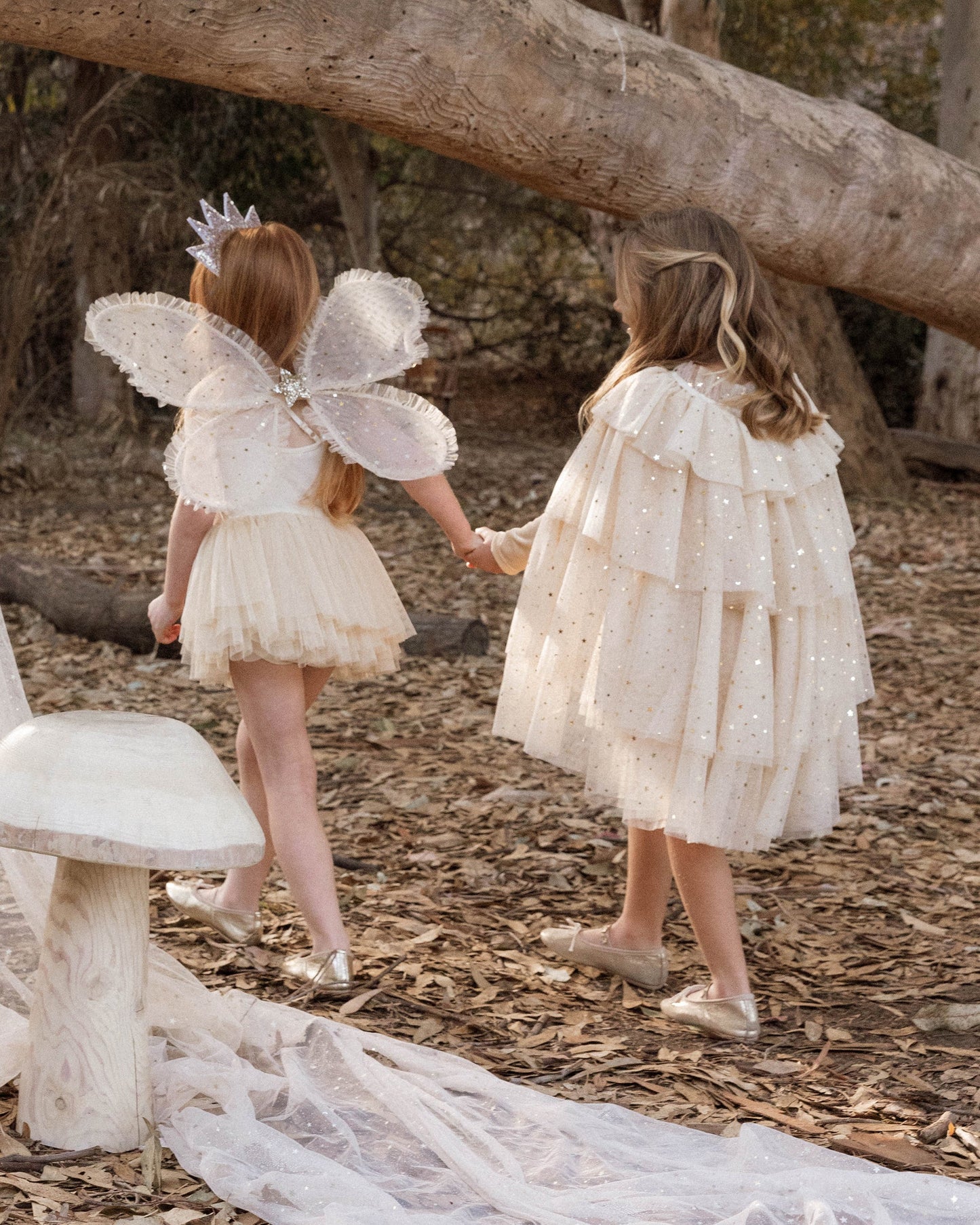 Wings - Campagne Stars OS