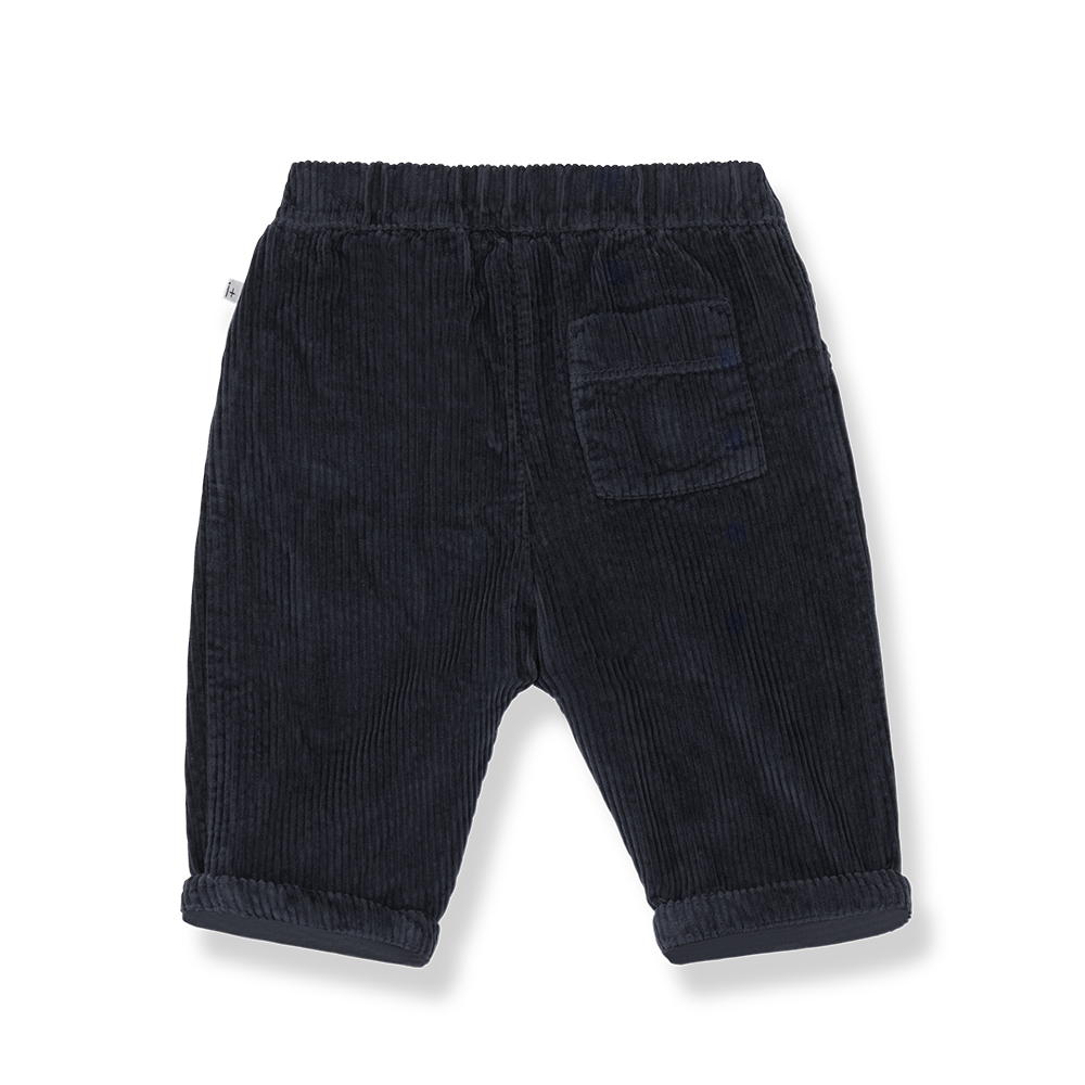 Quebec Lined Pants