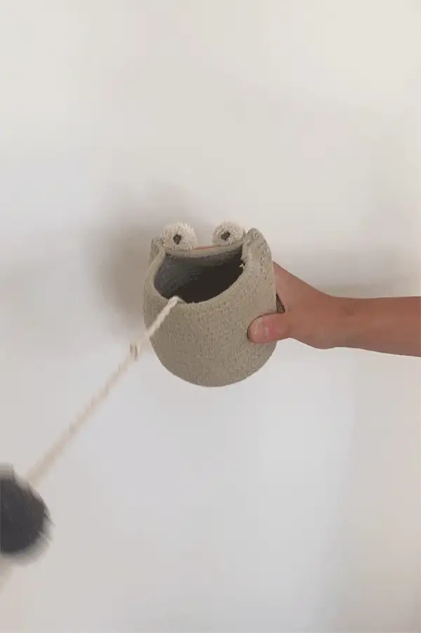 Cup and Ball Toy Baby Frog