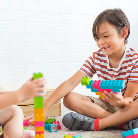 Eco-bricks Color PLUS 25pcs