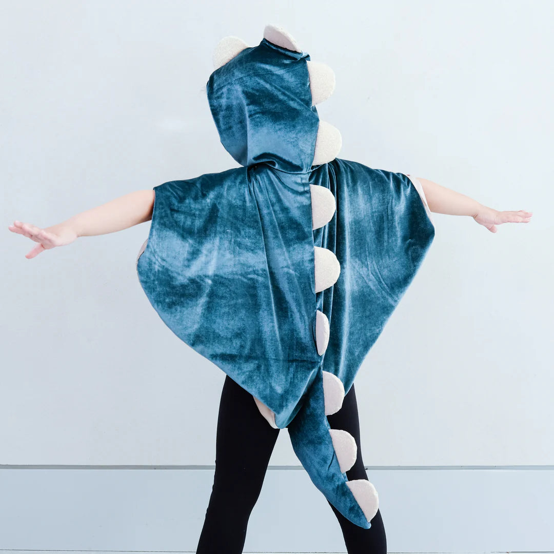 Friendly Dino Cape