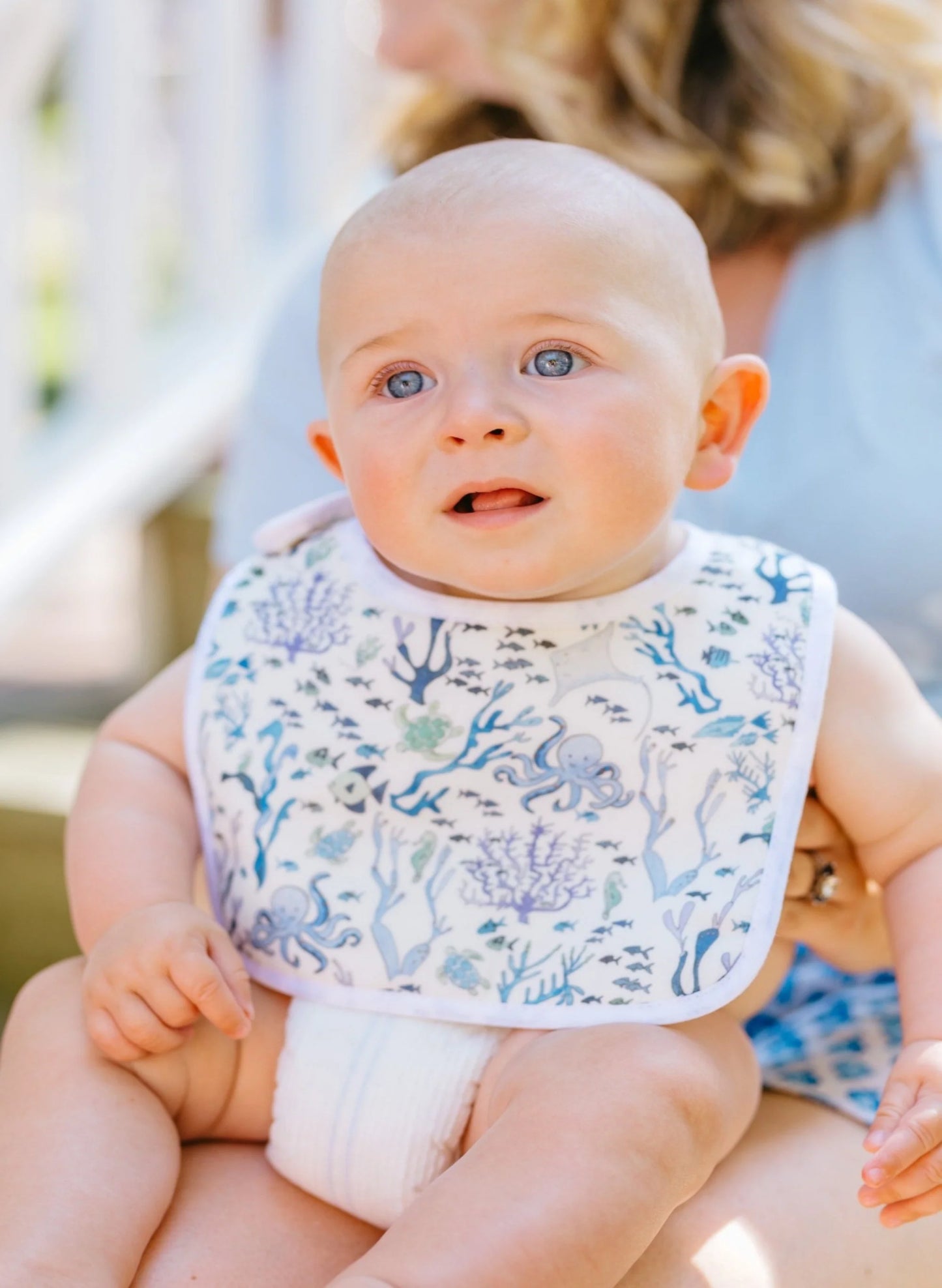 The Perfect Bib-Coral Reef