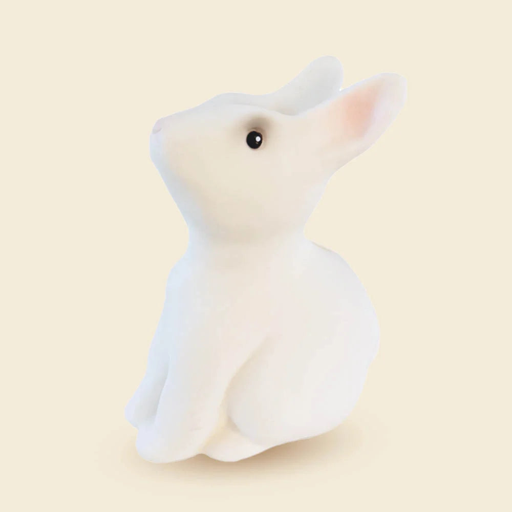 Rabbit Savings Bank
