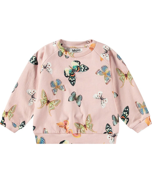 Disc - Sweatshirt