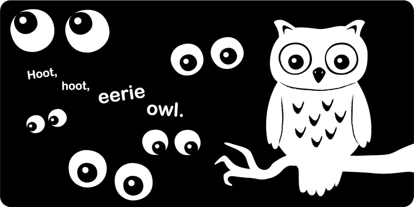 Booook! A Spooky High-Contrast Book! (BB)