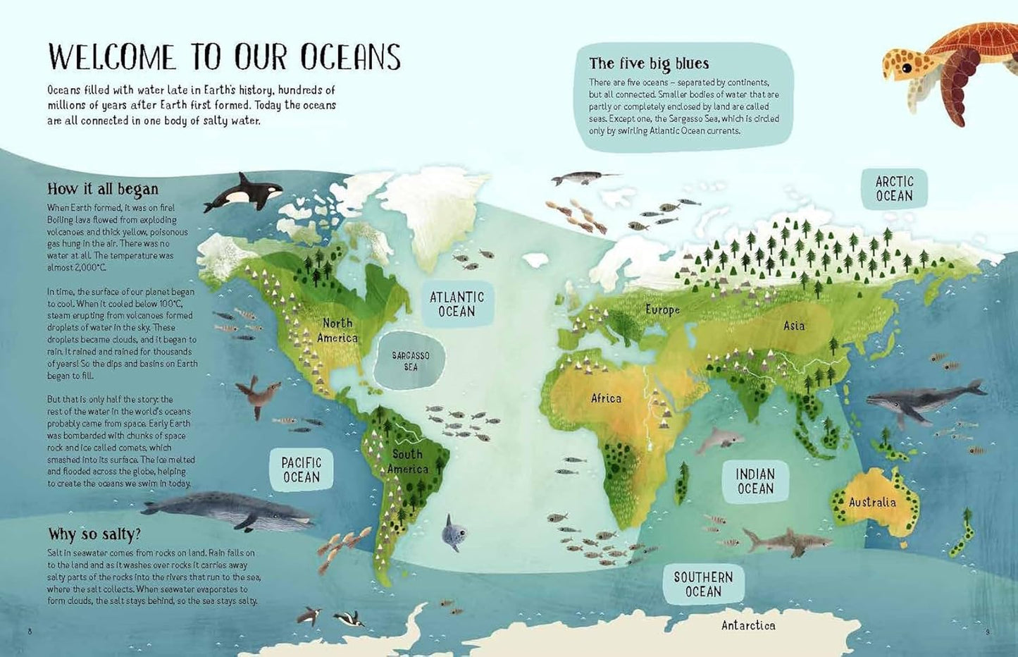 Turtles View of the Ocean Blue Book