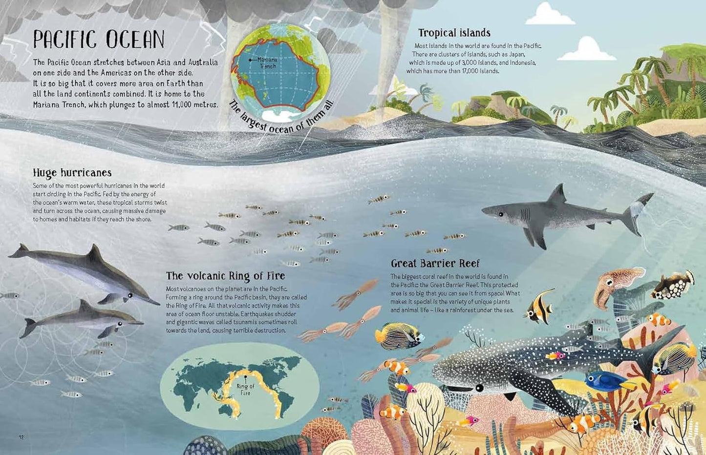 Turtles View of the Ocean Blue Book