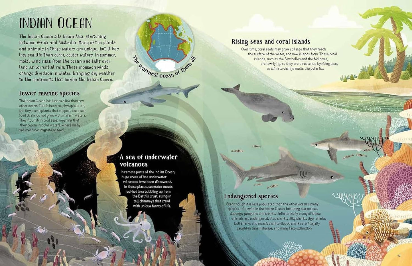 Turtles View of the Ocean Blue Book