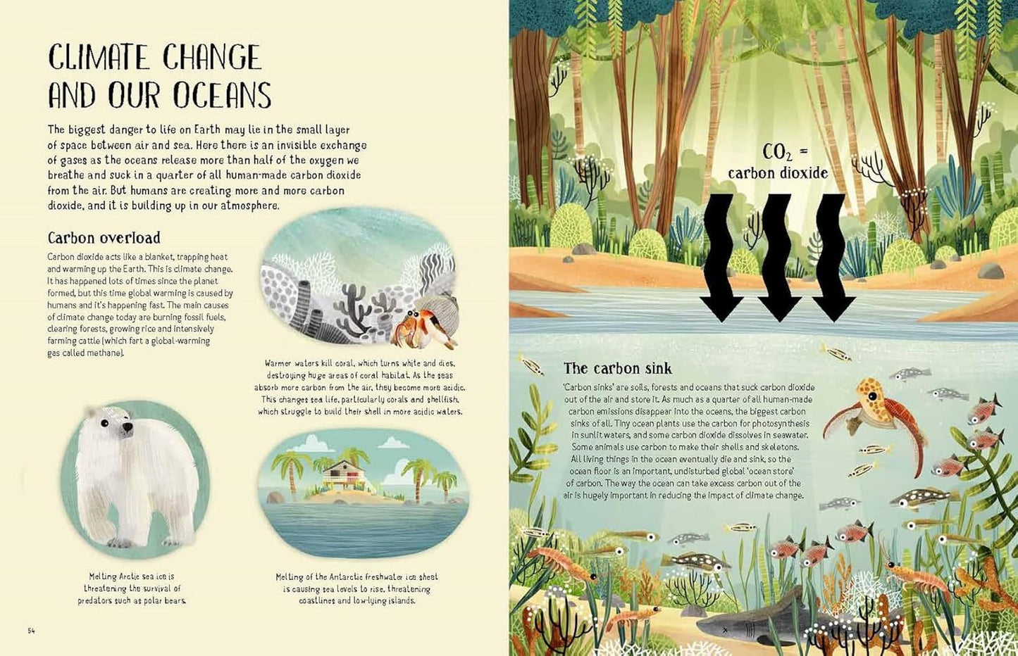 Turtles View of the Ocean Blue Book