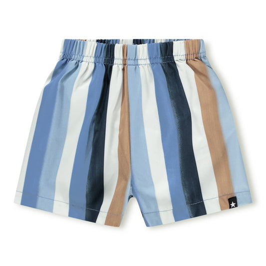 Newton Swim Shorts