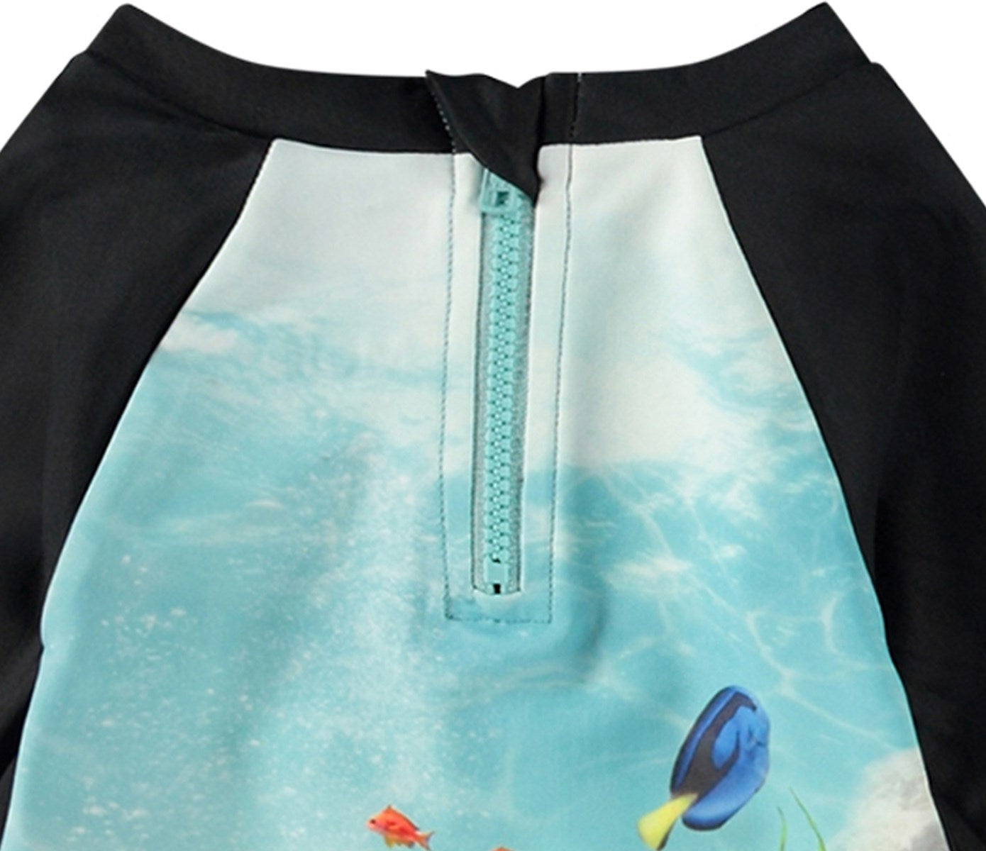 Nemo