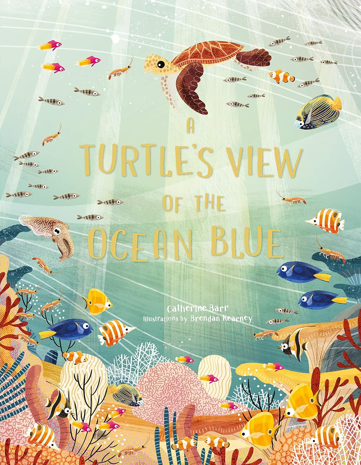 Turtles View of the Ocean Blue Book
