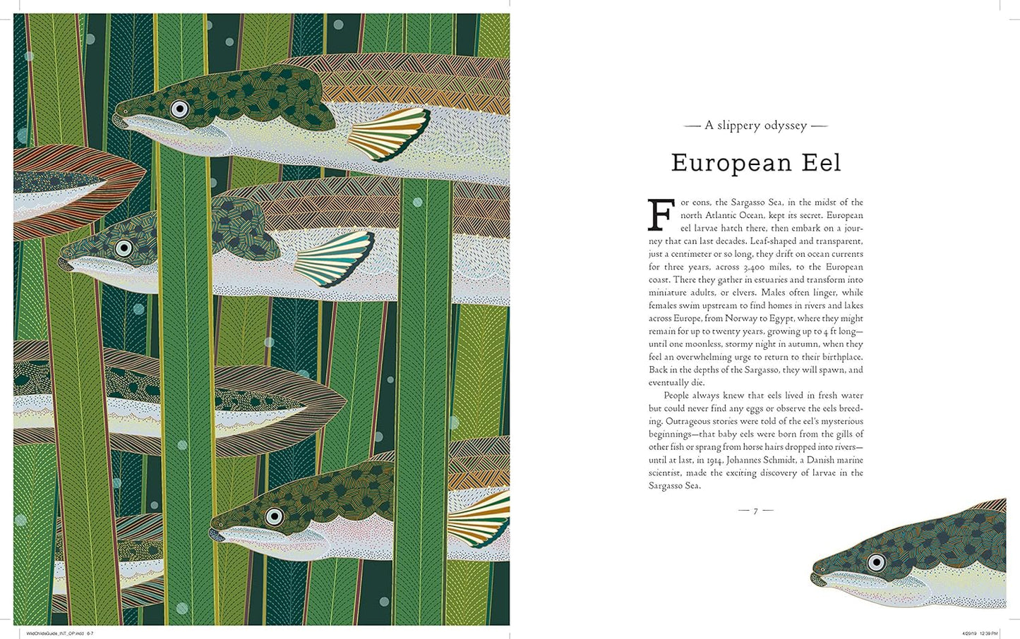 Wild Childs Guide to Endangered Animals Book