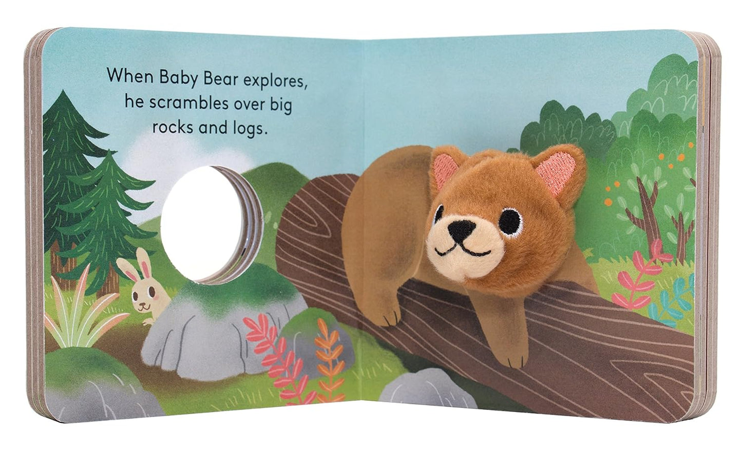 Baby Bear FP book
