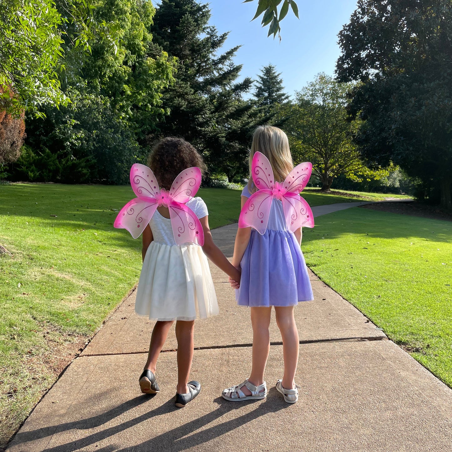 Magical Mini Fairy Wings