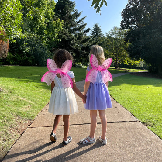 Magical Mini Fairy Wings