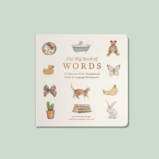 Our Big Book of First Words (Board Book)