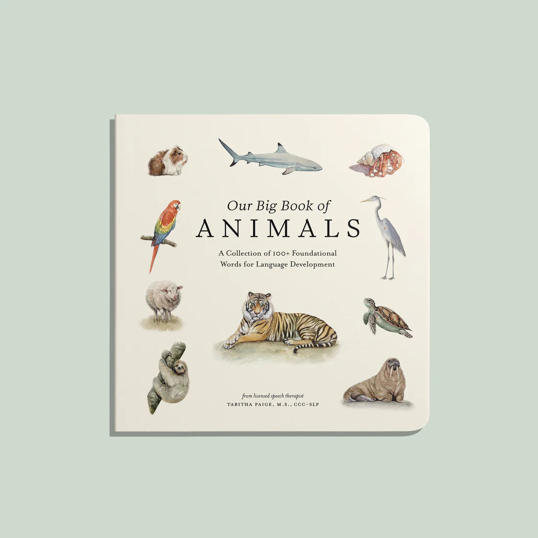 Our Big Book of Animals (Board Book)