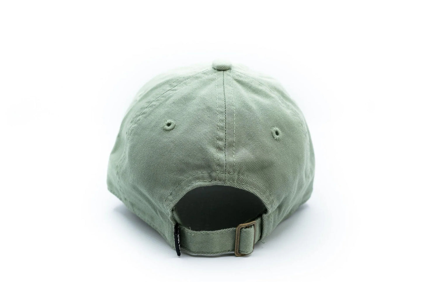 Dad Dusty Sage Hat - Adult