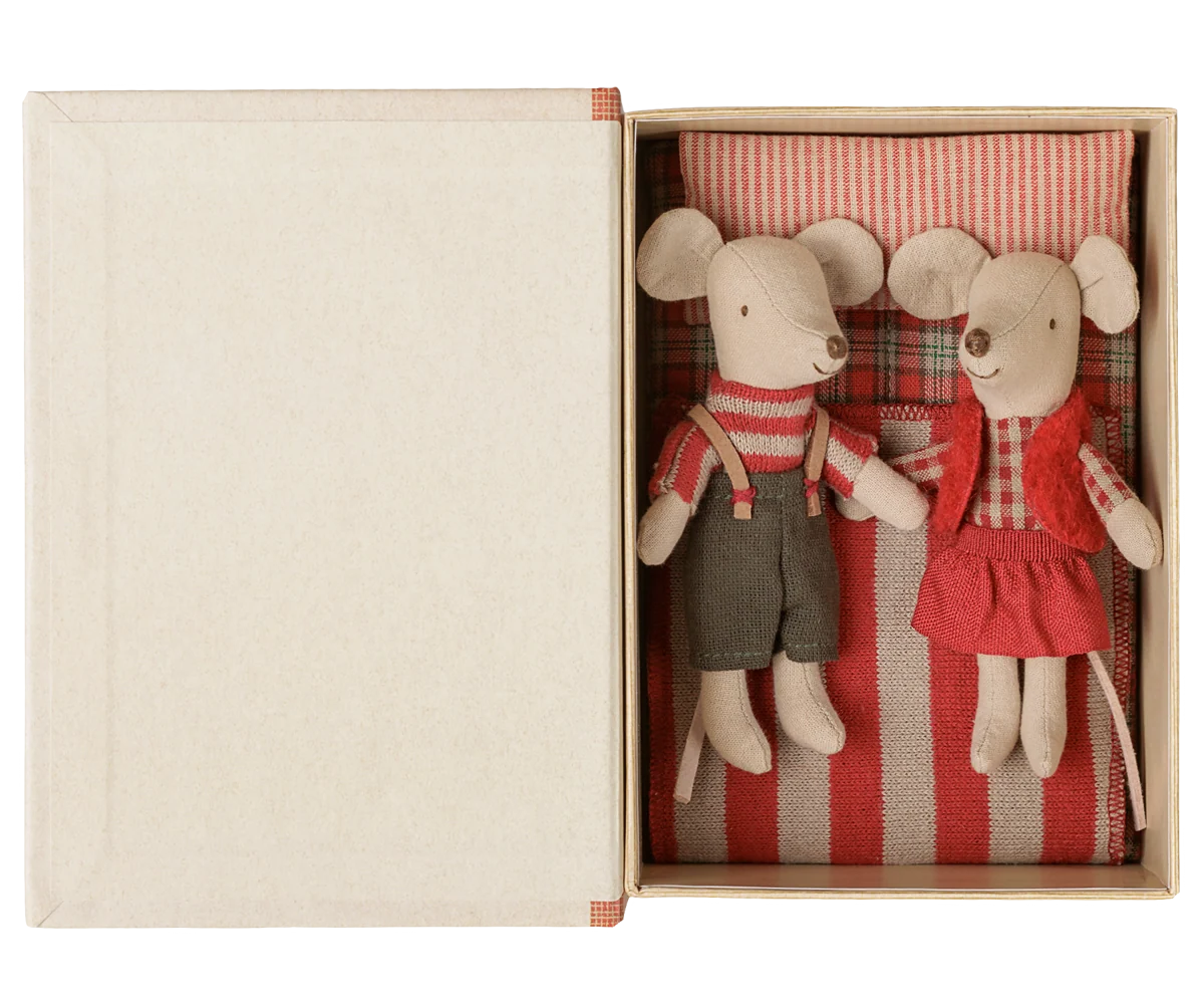 Christmas twin mice, Little sister and brother in book