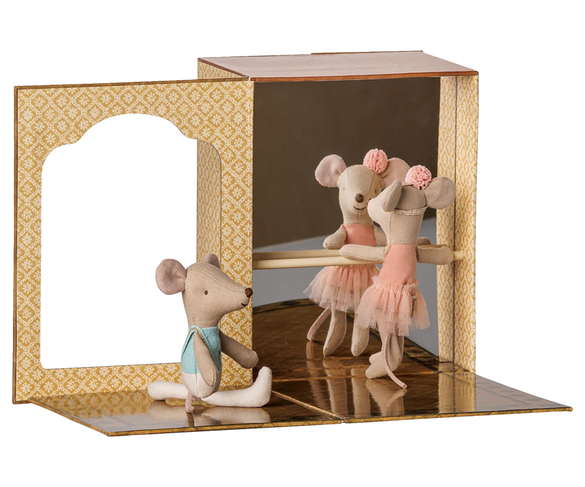 Ballet mice in dance studio, Little sister and brother