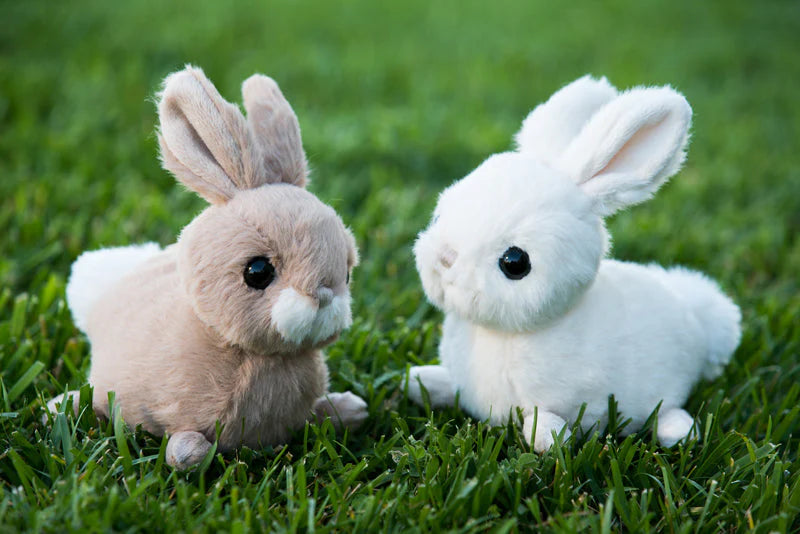 Zeus Bunny