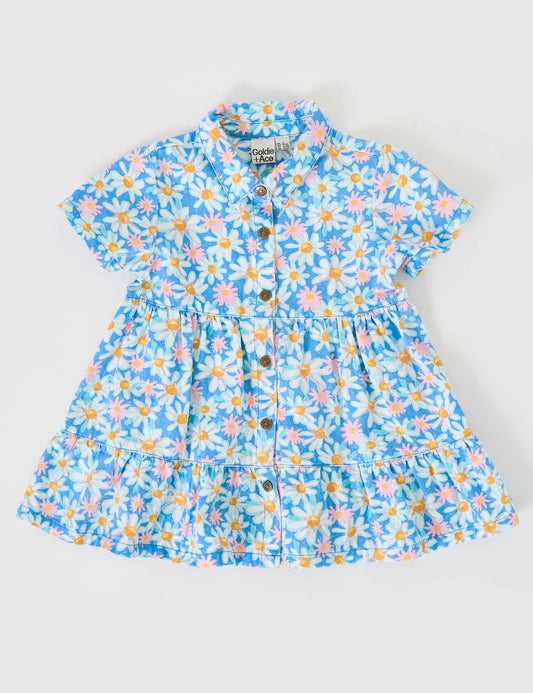 Monica Dress