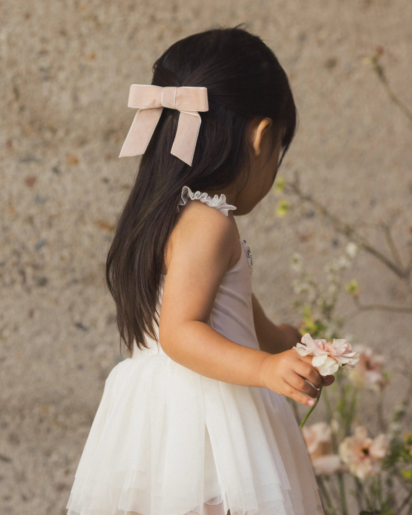 Velvet Bow - Rose