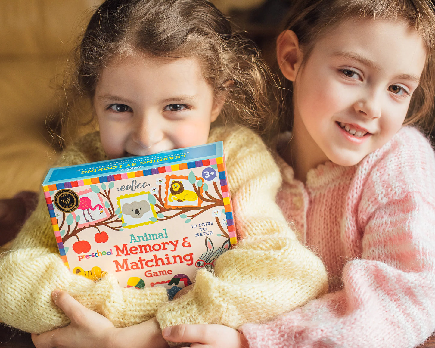 Pre-School Animal Matching Game