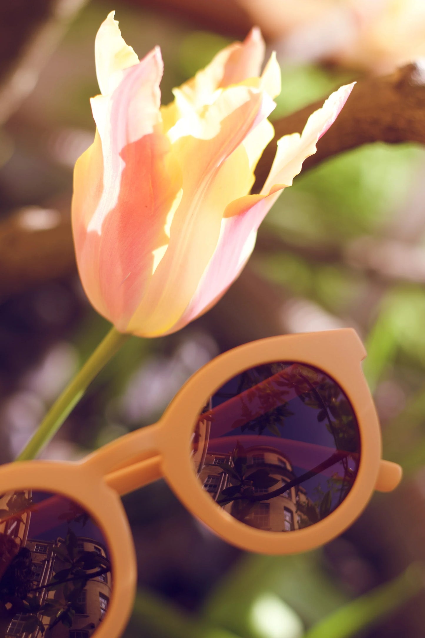 Classic Sustainable Sunglasses - Bio Based - Bendable - Polarized - Buckwheat (0-2Y)