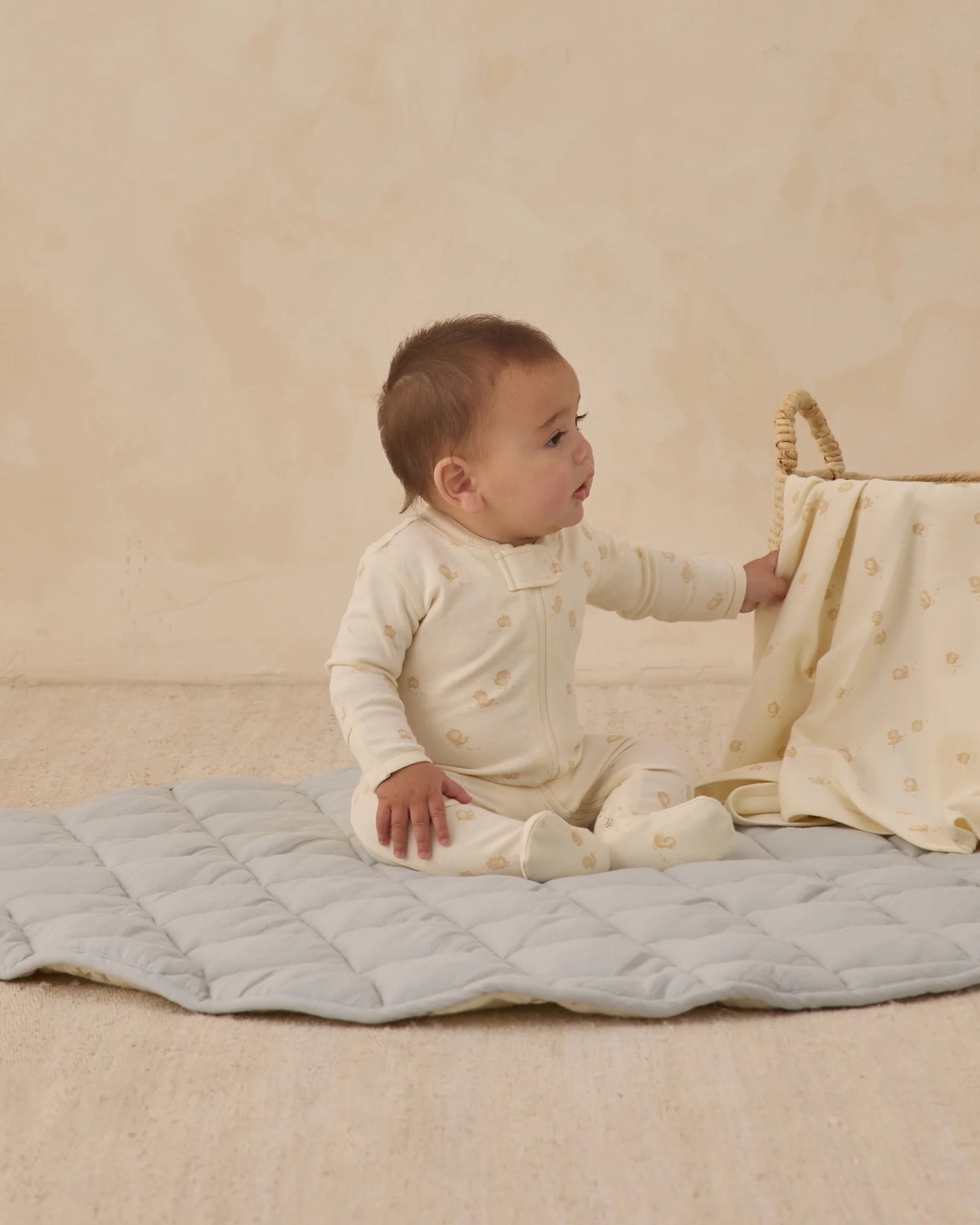 Baby Play Mat - Birds