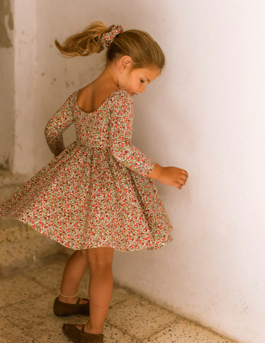 Long Sleeve Twirl Dress