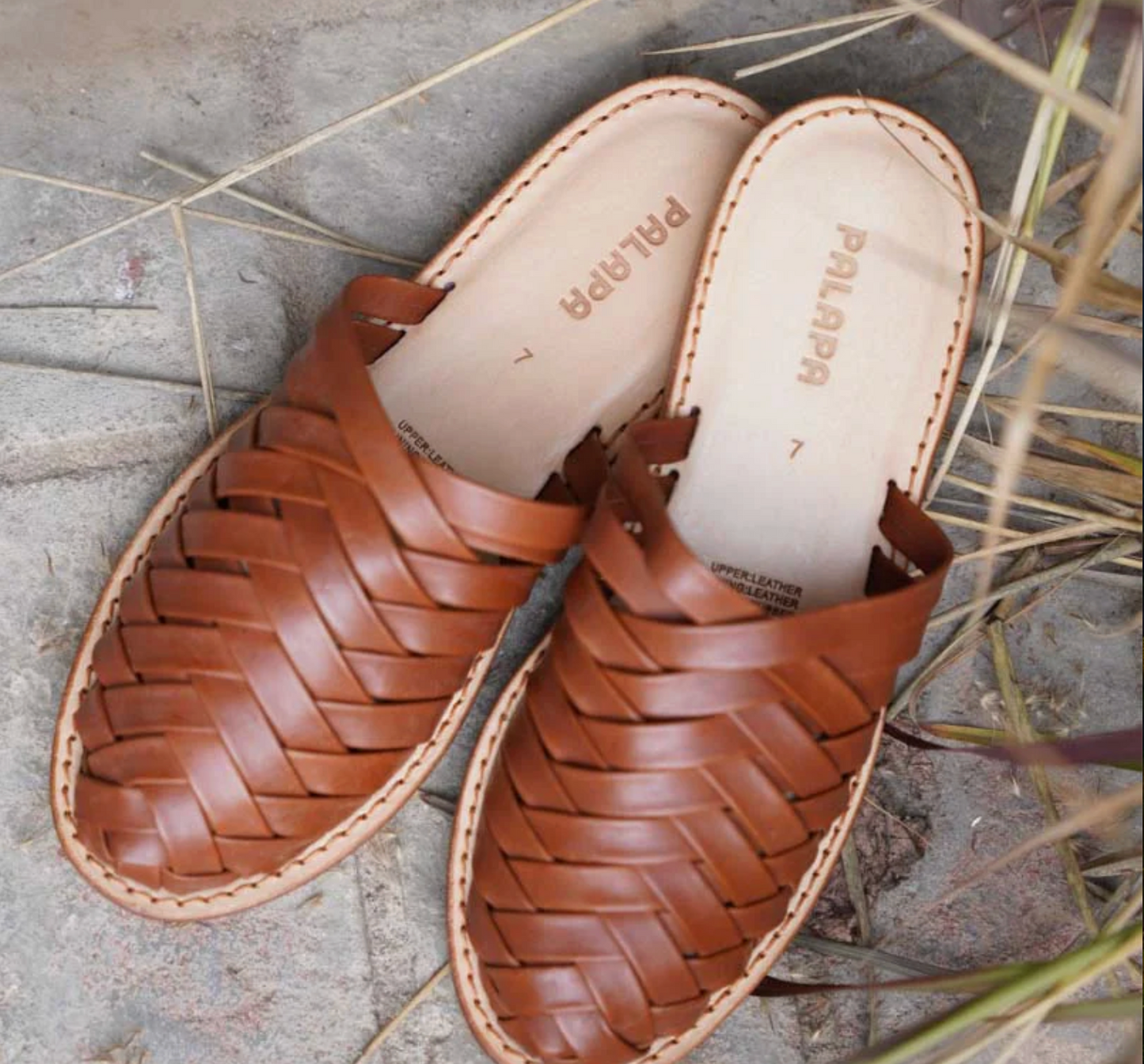 Palapa - Comala Chocolate 9