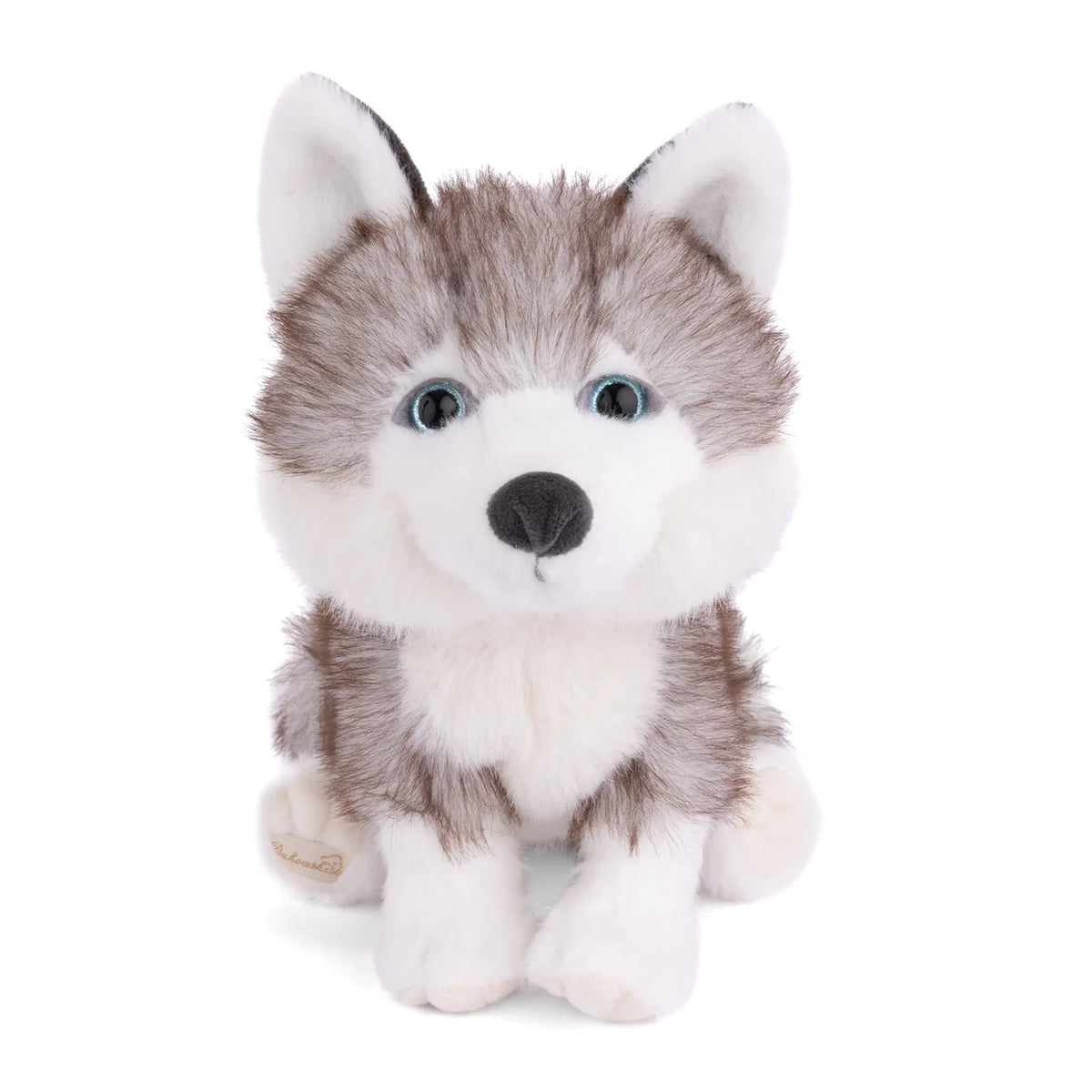 Sweet Husky