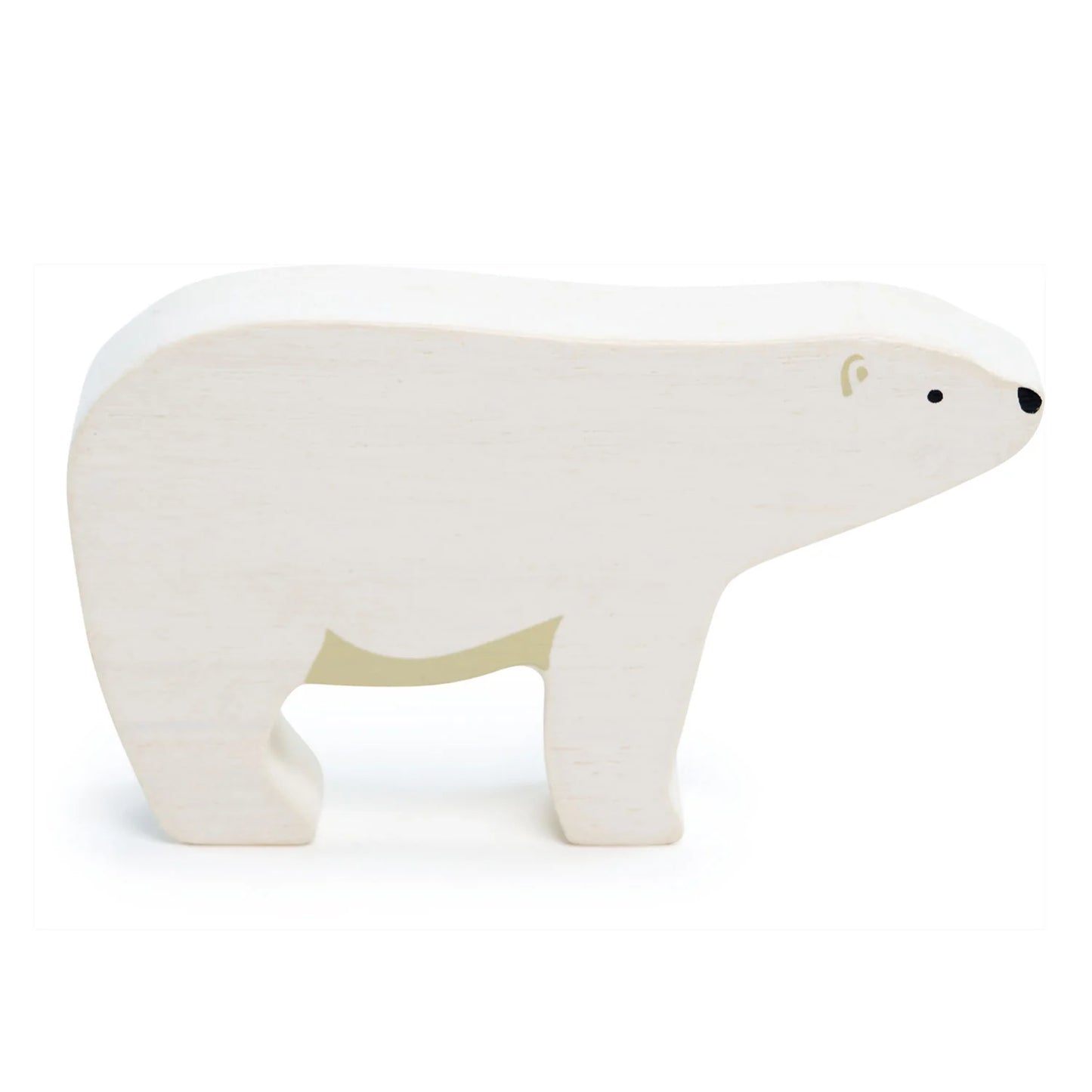 Polar Animals -Polar Bear