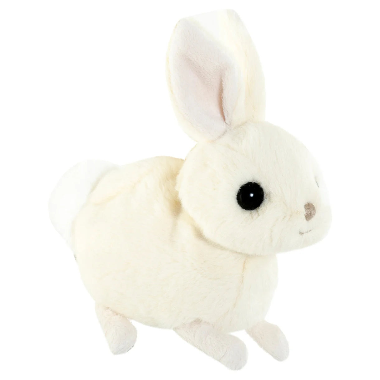 Zeus Bunny
