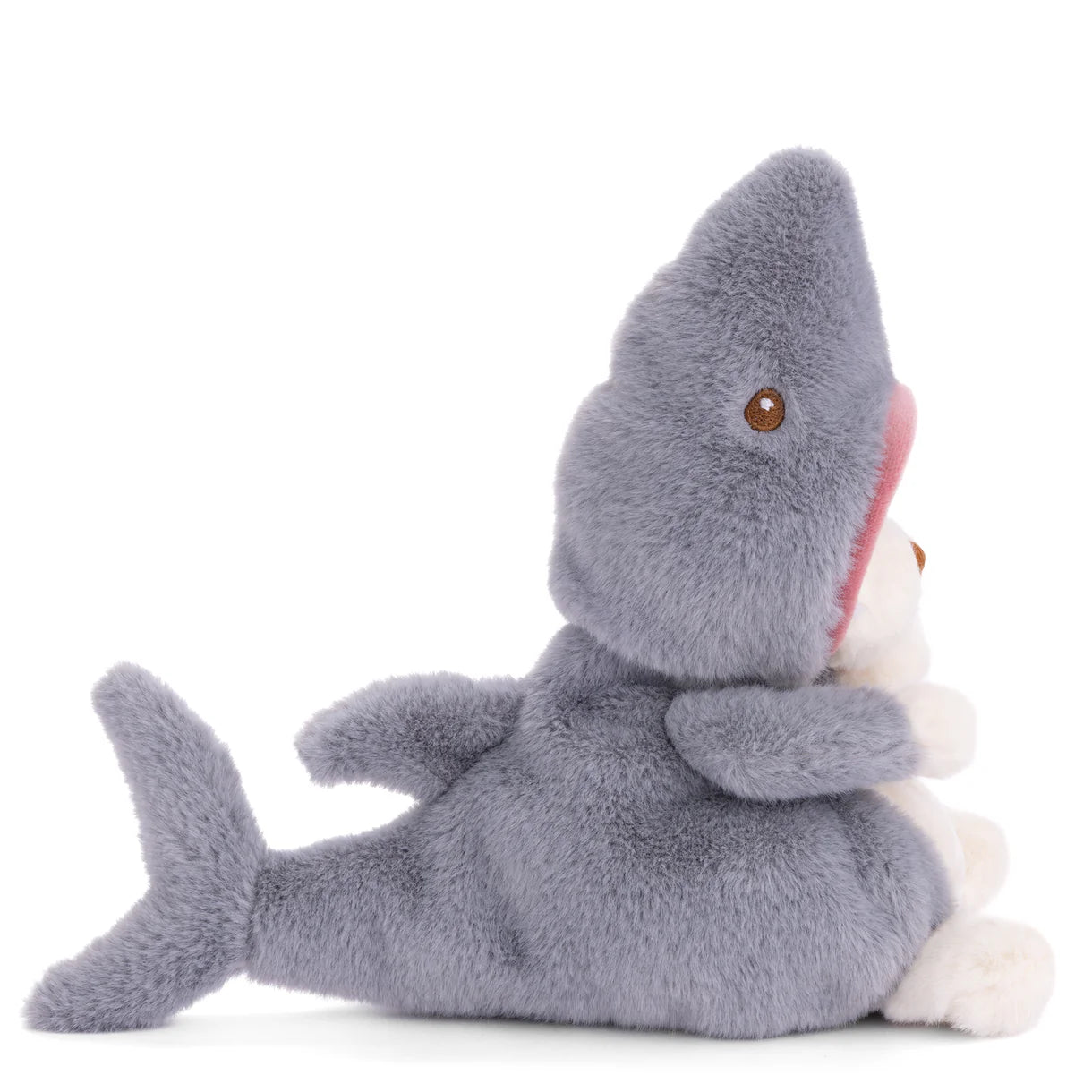 Ziggy - Shark