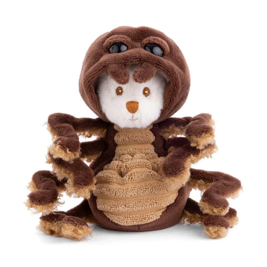 Ziggy - Spider