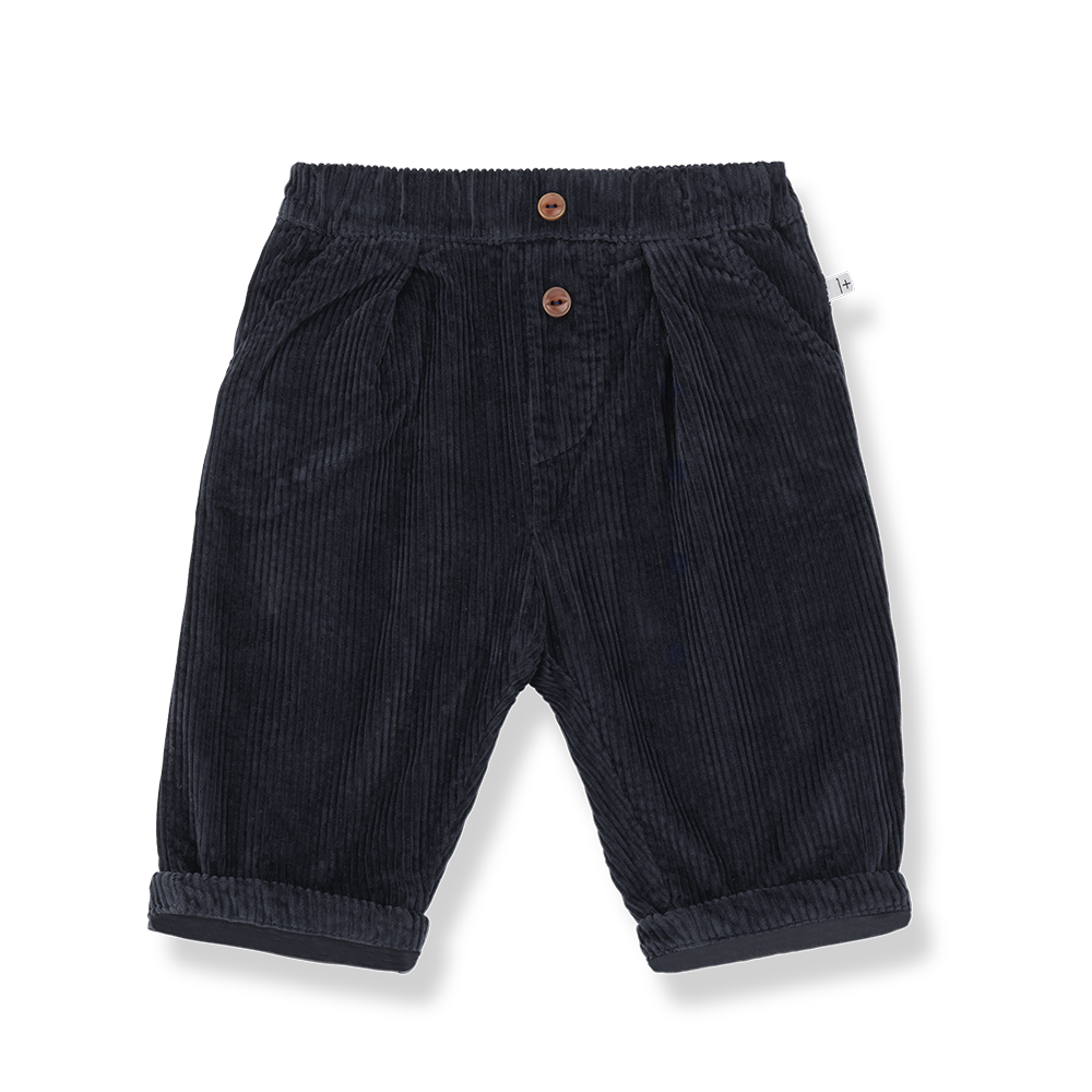 Quebec Lined Pants