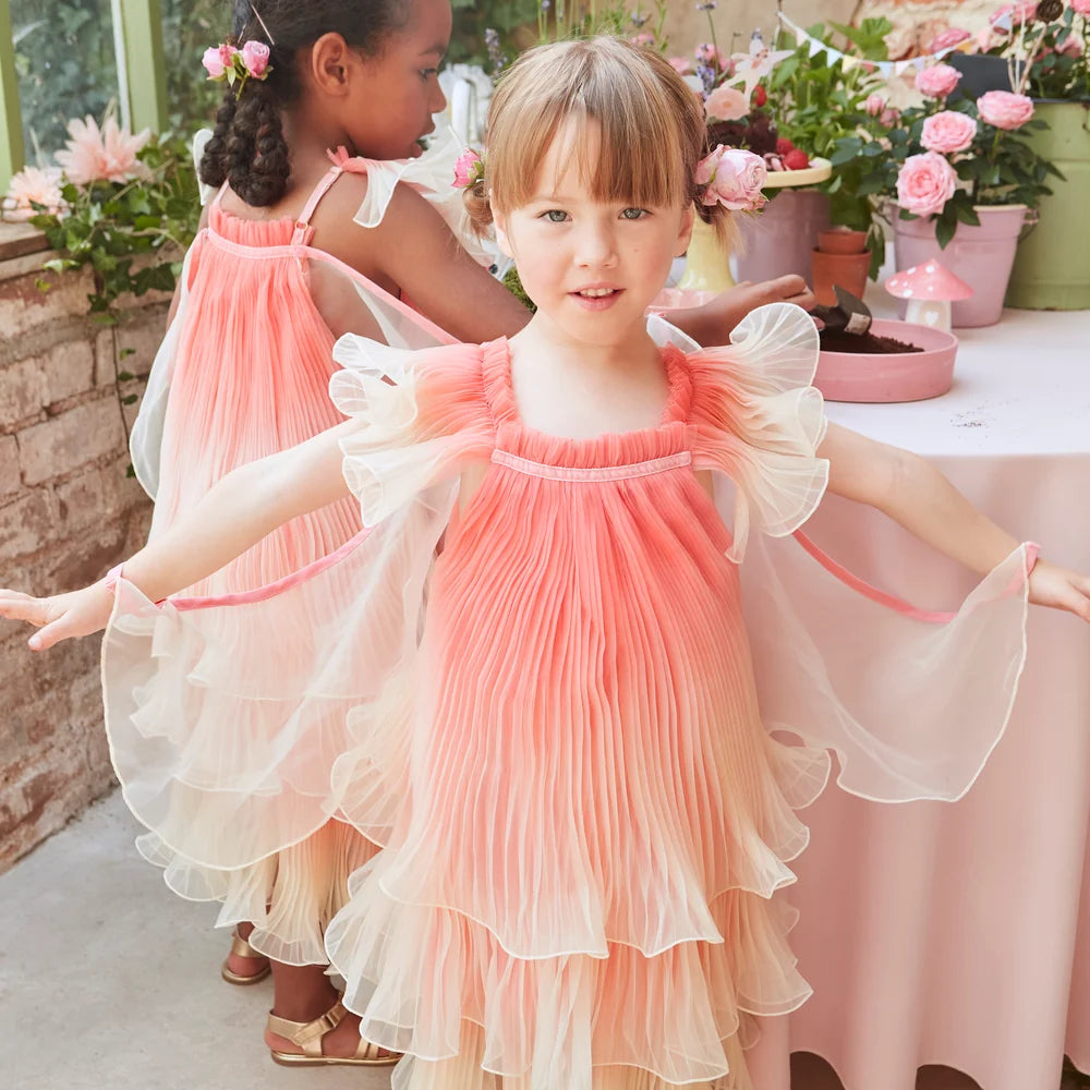 Fairy Costume and Wand - Age 5-6Y