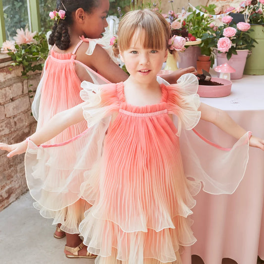 Fairy Costume and Wand - Age 5-6Y